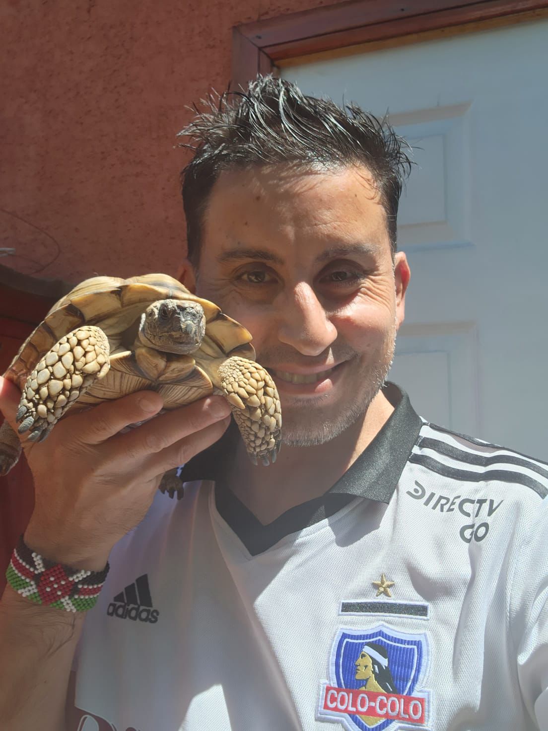 Persona + Mascota